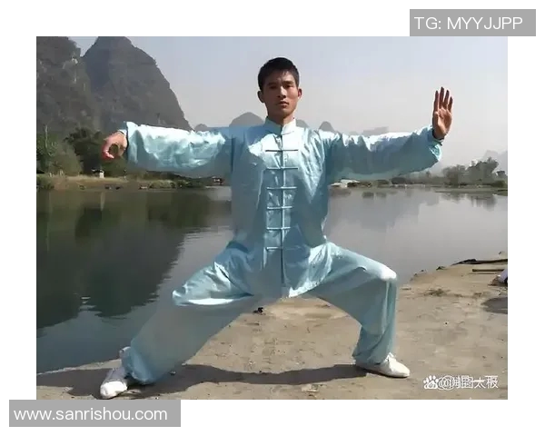 探索陈氏太极拳站桩的深厚内涵与修炼技巧提升身心健康的奥秘